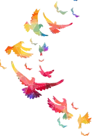 ビジュアルイメージ